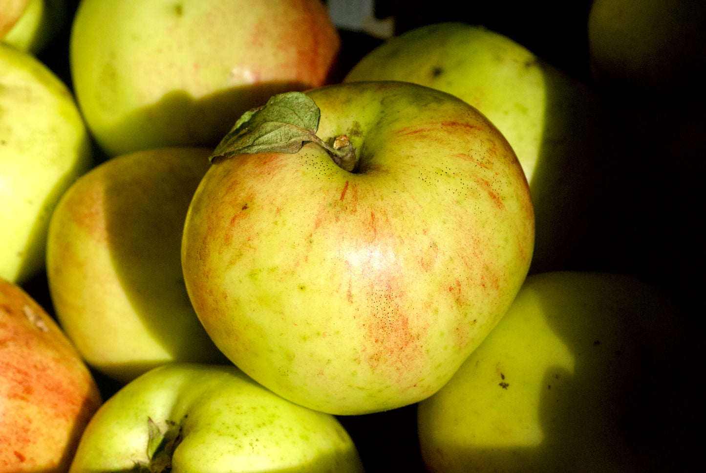 Gråsten, Yellow Apple