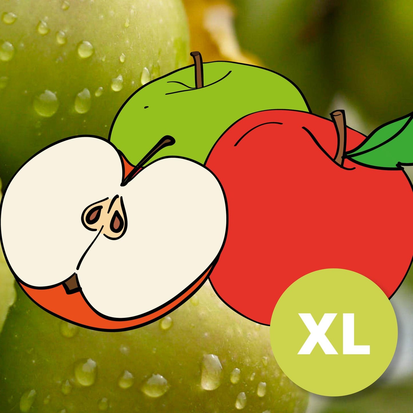 Gråsten Sæbygård – Large apple tree