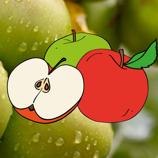 Ashton Brown Jersey cider Apfel auf Antonovka-Wurzelstock