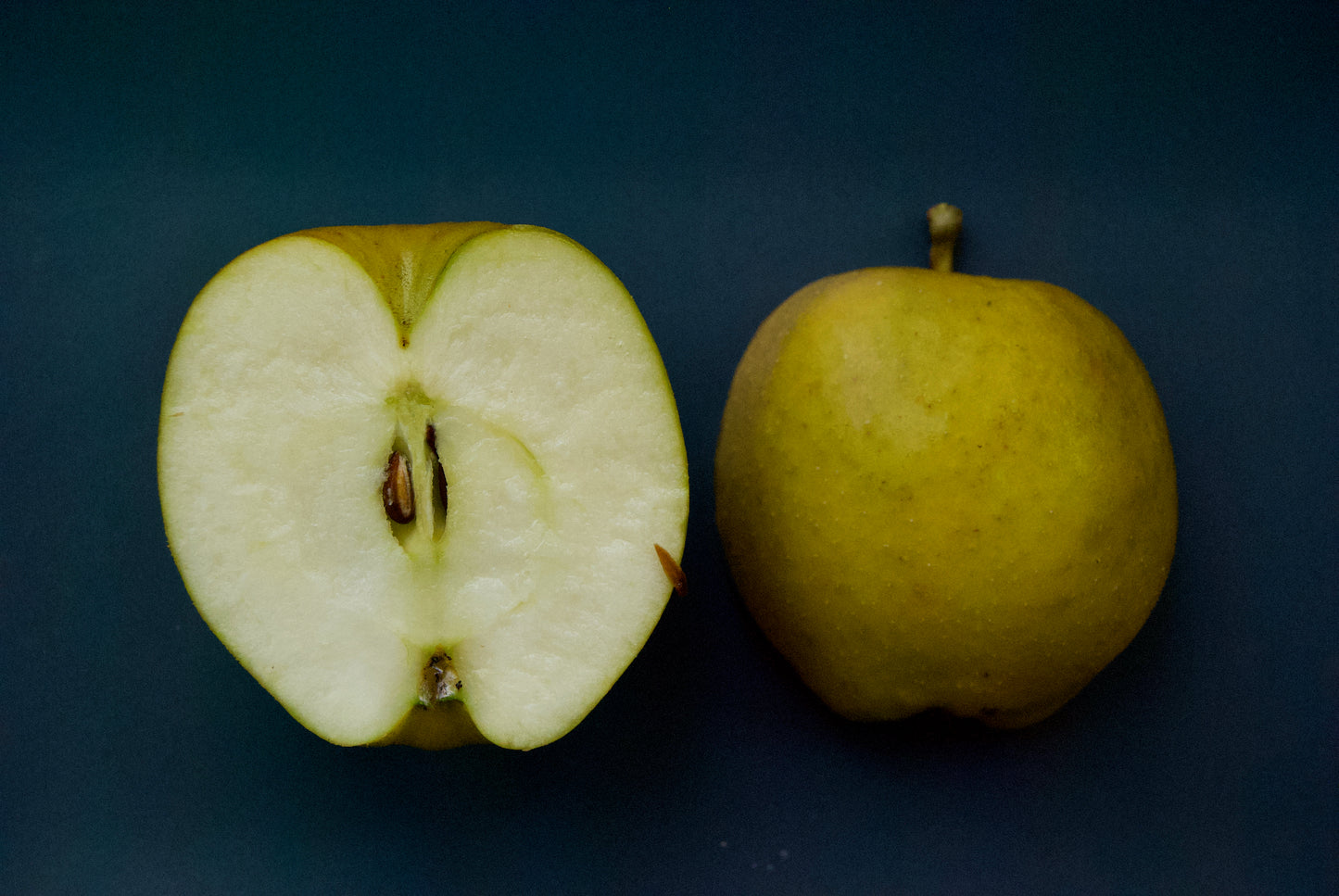 Belle de Boskoop Apple on P60 Roostock