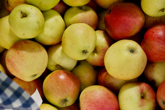 Ellis Bitter Äpple på MM106 Grundstam