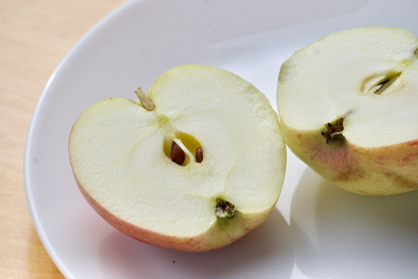 Ellis Bitter Apple on MM106 Rootstock