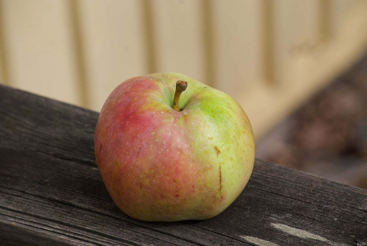 Fillippa Apple