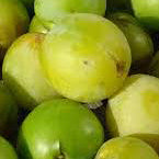 Green Reine Claude Plum